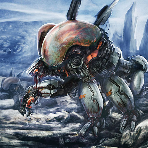 019